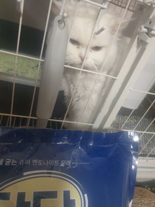 옹알이님이 올린 리뷰 사진 2