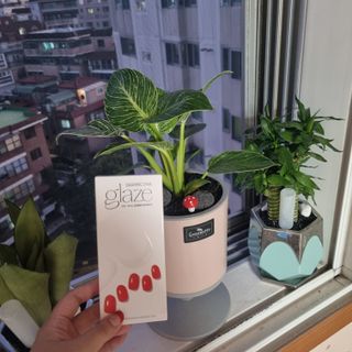 데싱디바 글레이즈 젤네일 크레이지 레드 가을 컬렉션_4종 중 택 1 — 5점을 준 리뷰어가 2021년 9월 올린 사용 사진