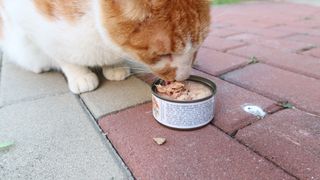 연이님이 올린 리뷰 사진 1
