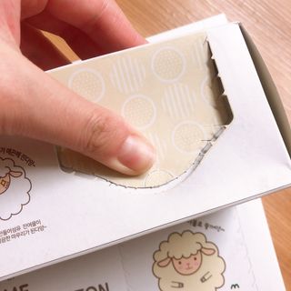 에일님이 올린 리뷰 사진 2
