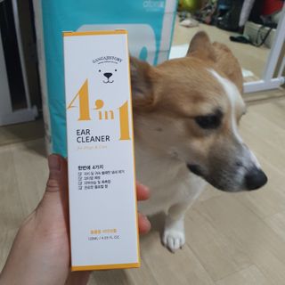 박지은님이 올린 리뷰 사진 1