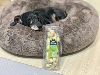 콩이누나님이 올린 리뷰 사진 1