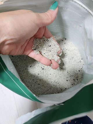 박오뎅님이 올린 리뷰 사진 2