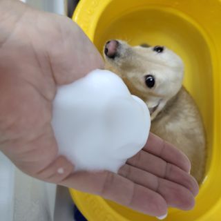PDKIM님이 올린 리뷰 사진 2