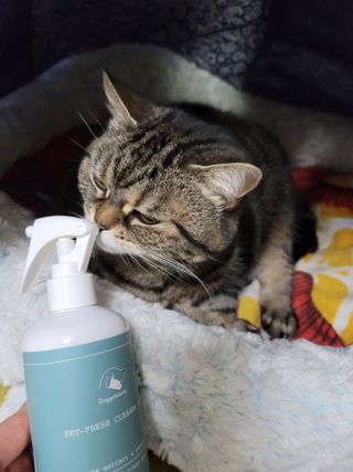 나초단맘님이 올린 리뷰 사진 2