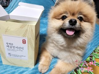 꼬마마녀와꼬망마님이 올린 리뷰 사진 1