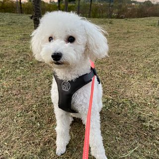 워리네님이 올린 리뷰 사진 1