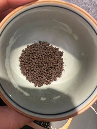 리뷰쟁이님이 올린 리뷰 사진 4