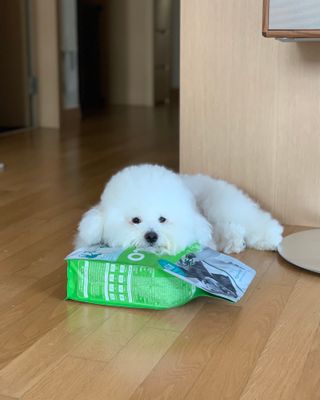 윤긍정님이 올린 리뷰 사진 1