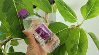 몽베스트 [MONTBEST] 330mL 20병 — 5점을 준 리뷰어가 2024년 3월 올린 사용 사진