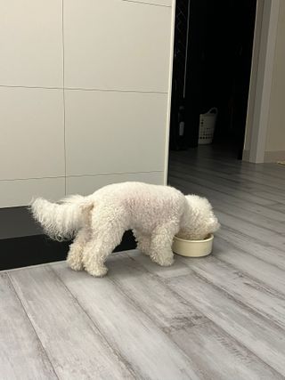 큐티윤님이 올린 리뷰 사진 1