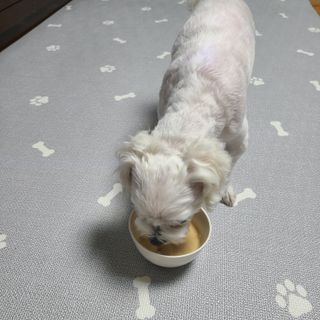 쮸디님이 올린 리뷰 사진 3