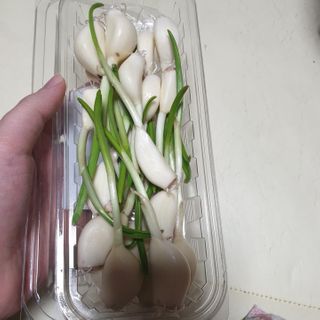 beaglelove님이 올린 리뷰 사진 2