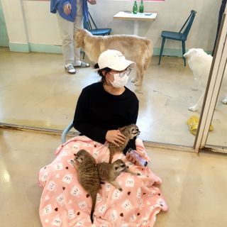 Zenithhappy님이 올린 리뷰 사진 2