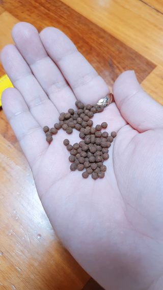 짠이님이 올린 리뷰 사진 4