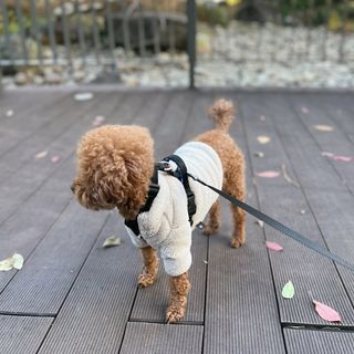 조이님이 올린 리뷰 사진 2