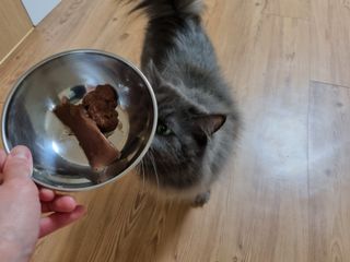 페페로니 맛있는 스틱 - 무항생제 닭고기 15개 + 원양선 참치 15개 — 5점을 준 리뷰어가 2021년 8월 올린 사용 사진