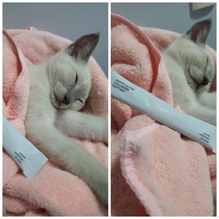 김주사랑님이 올린 리뷰 사진 3
