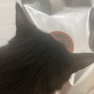 예링님이 올린 리뷰 사진 2
