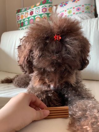 콩지님이 올린 리뷰 사진 3