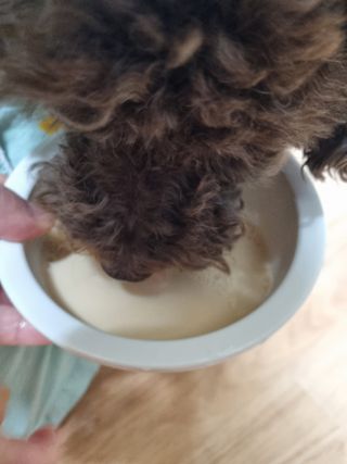 깨비님이 올린 리뷰 사진 4
