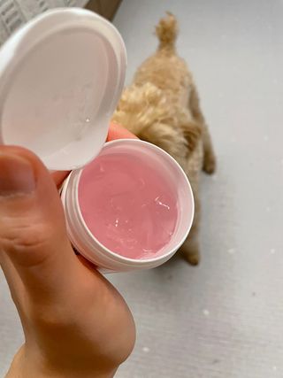 효효님이 올린 리뷰 사진 2