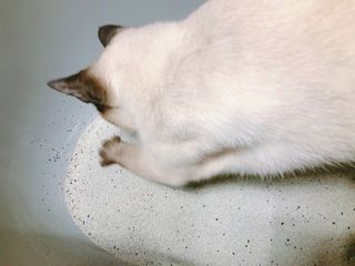 모닝스타님이 올린 리뷰 사진 4