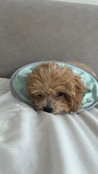 스피님이 올린 리뷰 사진 2
