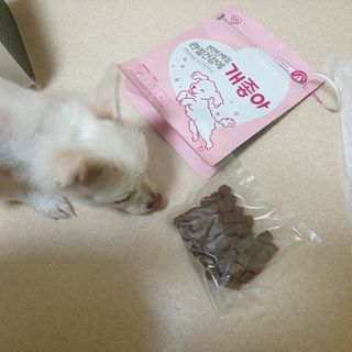 My Pet Care 천연단백질 관절건강에 개좋아 — 5점을 준 리뷰어가 2021년 3월 올린 사용 사진