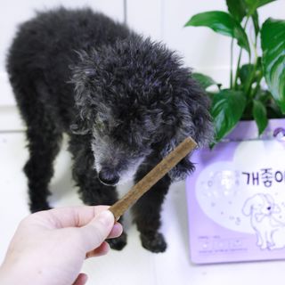 My Pet Care 천연단백질 치아건강에 개좋아 — 5점을 준 리뷰어가 2020년 12월 올린 사용 사진