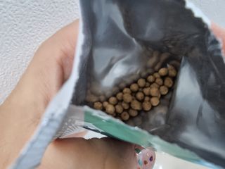 내마음의풍금님이 올린 리뷰 사진 3