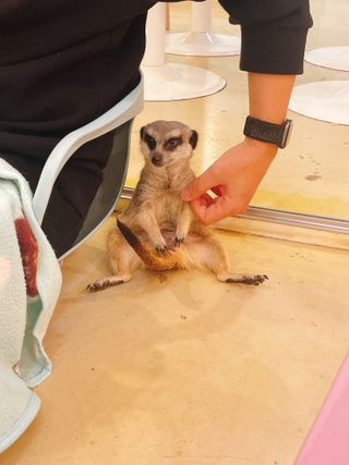 연쨩님이 올린 리뷰 사진 4