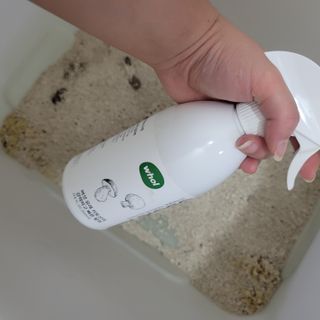 이째님이 올린 리뷰 사진 3