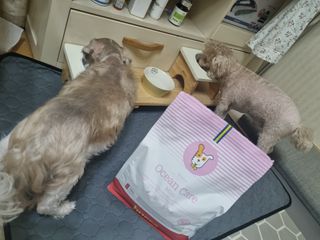 진쓰님이 올린 리뷰 사진 4