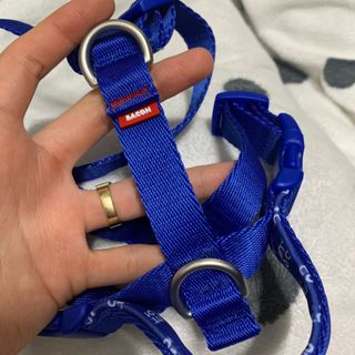 초오기님이 올린 리뷰 사진 1