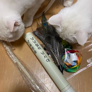 모너아리님이 올린 리뷰 사진 1