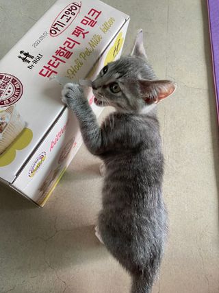 현님이 올린 리뷰 사진 1
