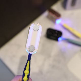 마이또또님이 올린 리뷰 사진 4