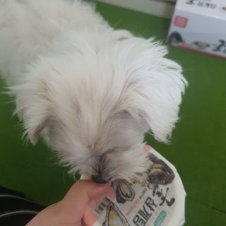 매실님이 올린 리뷰 사진 3