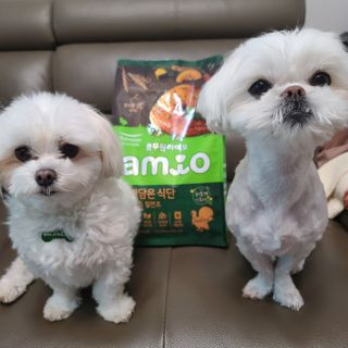 태산몽실맘님이 올린 리뷰 사진 1