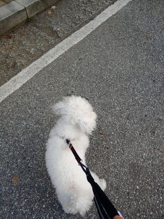 둥이맘님이 올린 리뷰 사진 4