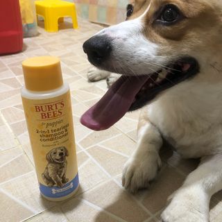쩡둥님이 올린 리뷰 사진 1