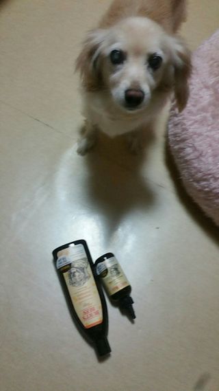 라클맘님이 올린 리뷰 사진 1