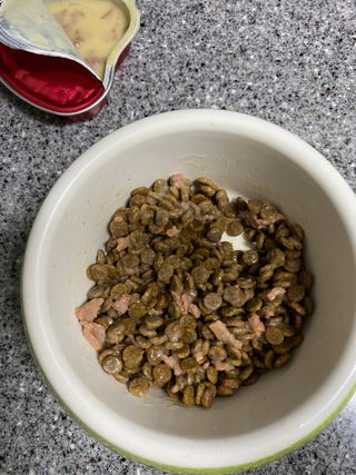 비타크래프트 조에시 하트캔 85g 강아지 습식캔 10캔 — 5점을 준 리뷰어가 2021년 9월 올린 사용 사진