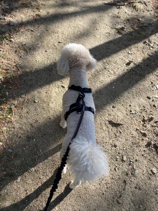 파라오겅쭈님이 올린 리뷰 사진 2