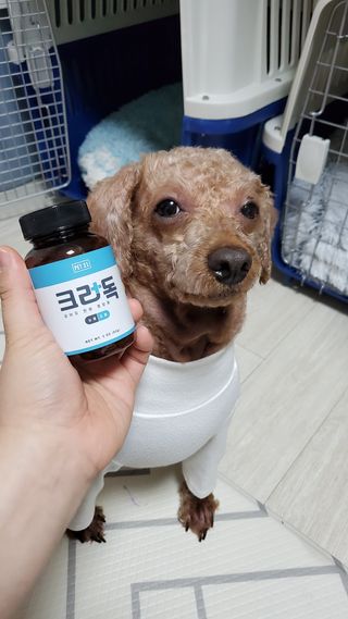 무지개둥이네님이 올린 리뷰 사진 1