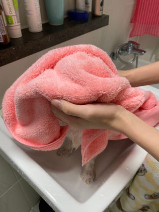 앙두님이 올린 리뷰 사진 1