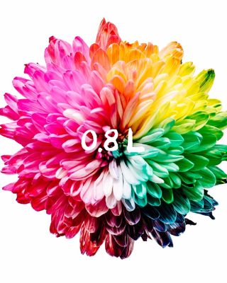 0.8L 마케팅팀 - — 5점을 준 리뷰어가 2021년 5월 올린 사용 사진