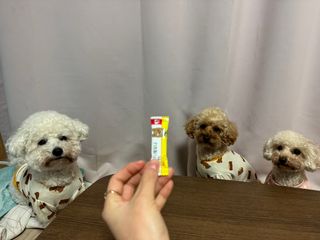 김채원님이 올린 리뷰 사진 2