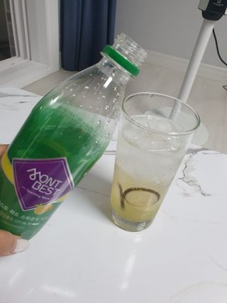 몽베스트 Montbest with Sparkling water Lemon OR Lime 20병(랜덤) — 4점을 준 리뷰어가 2021년 10월 올린 사용 사진